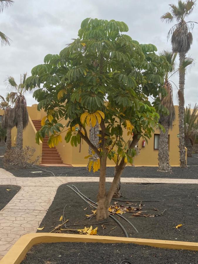 Appartement Oasis Papagayo *